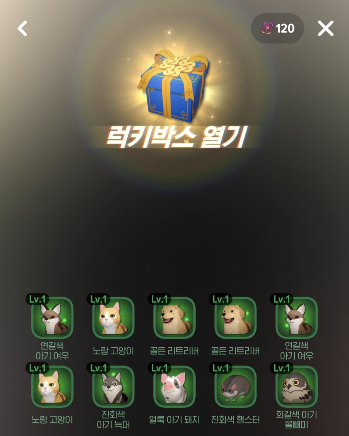 DcVdbd