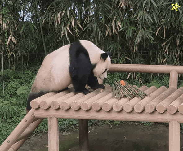 DcvUtU.gif