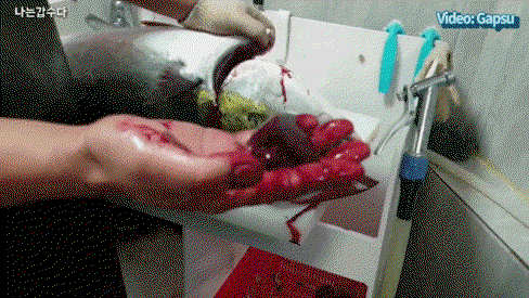 DeVDBw.gif