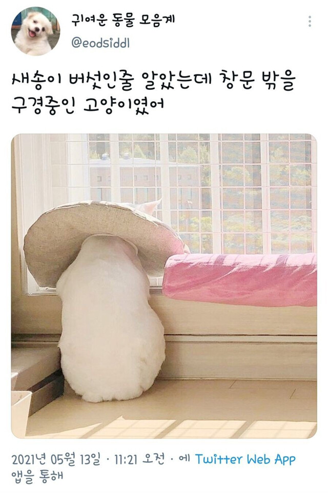 DhVIvh