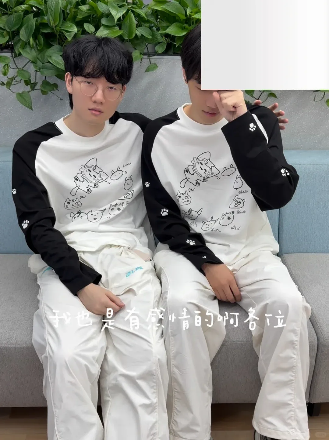 DiWHXF