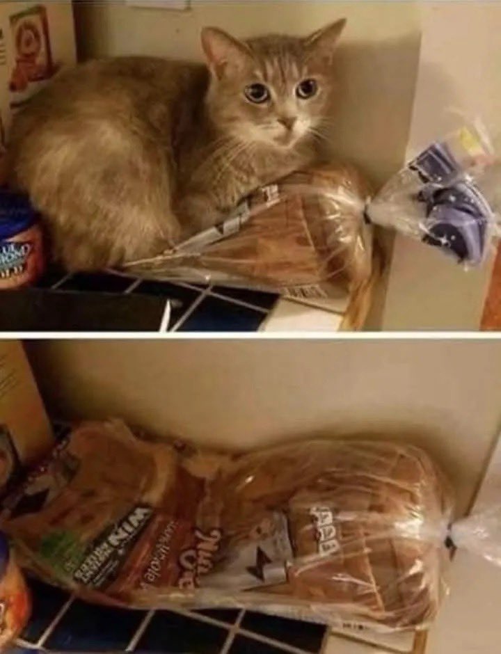 DkLZvd