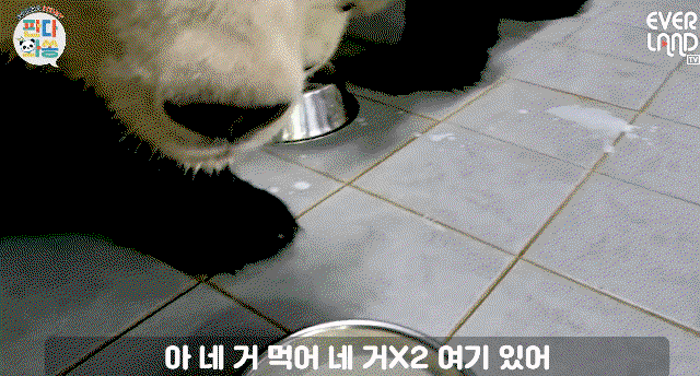 DkSZPK.gif