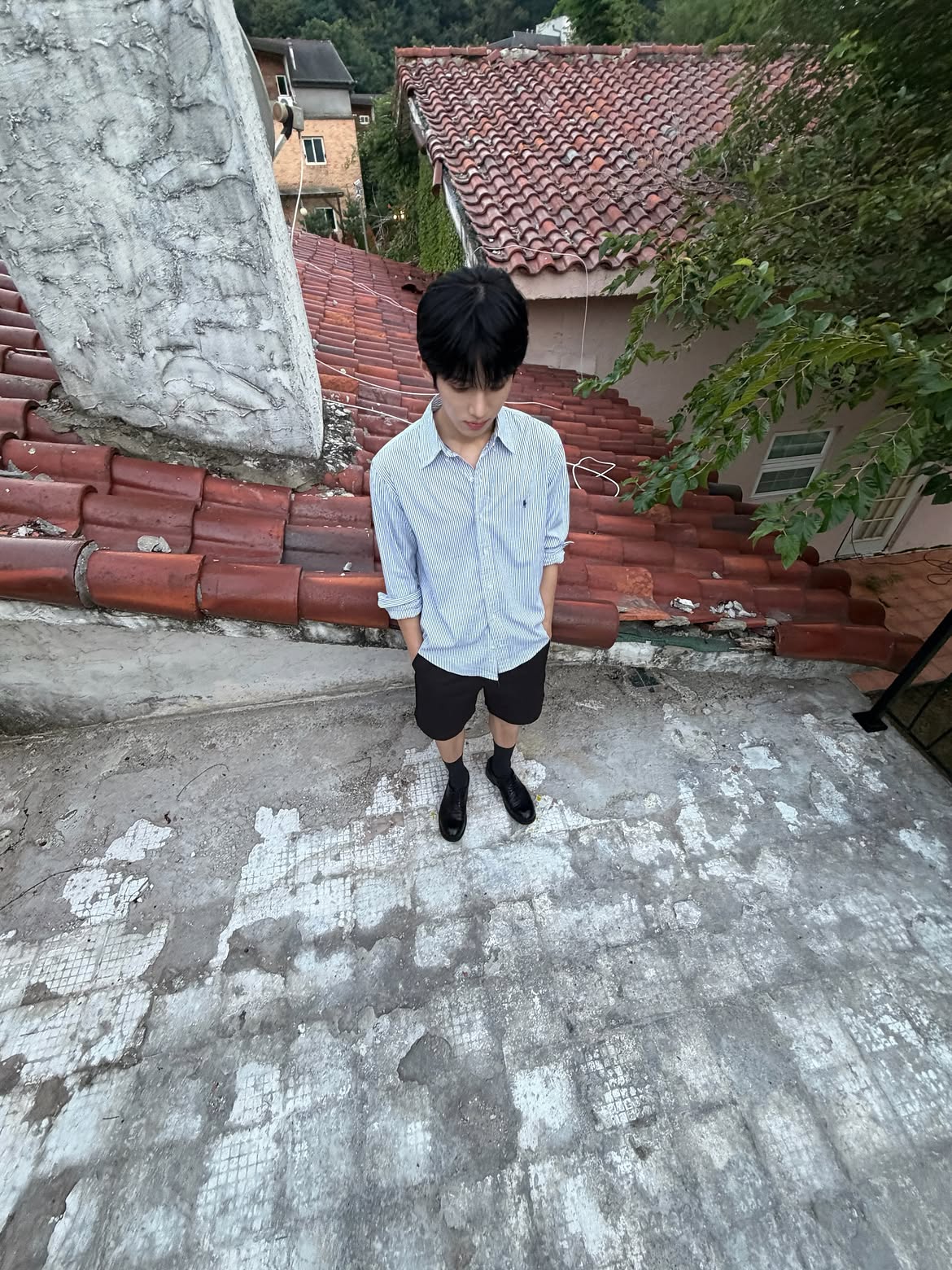 DlBVgP