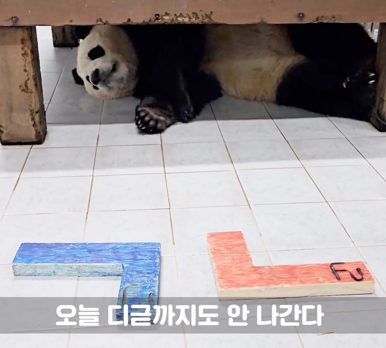 DmkOIU