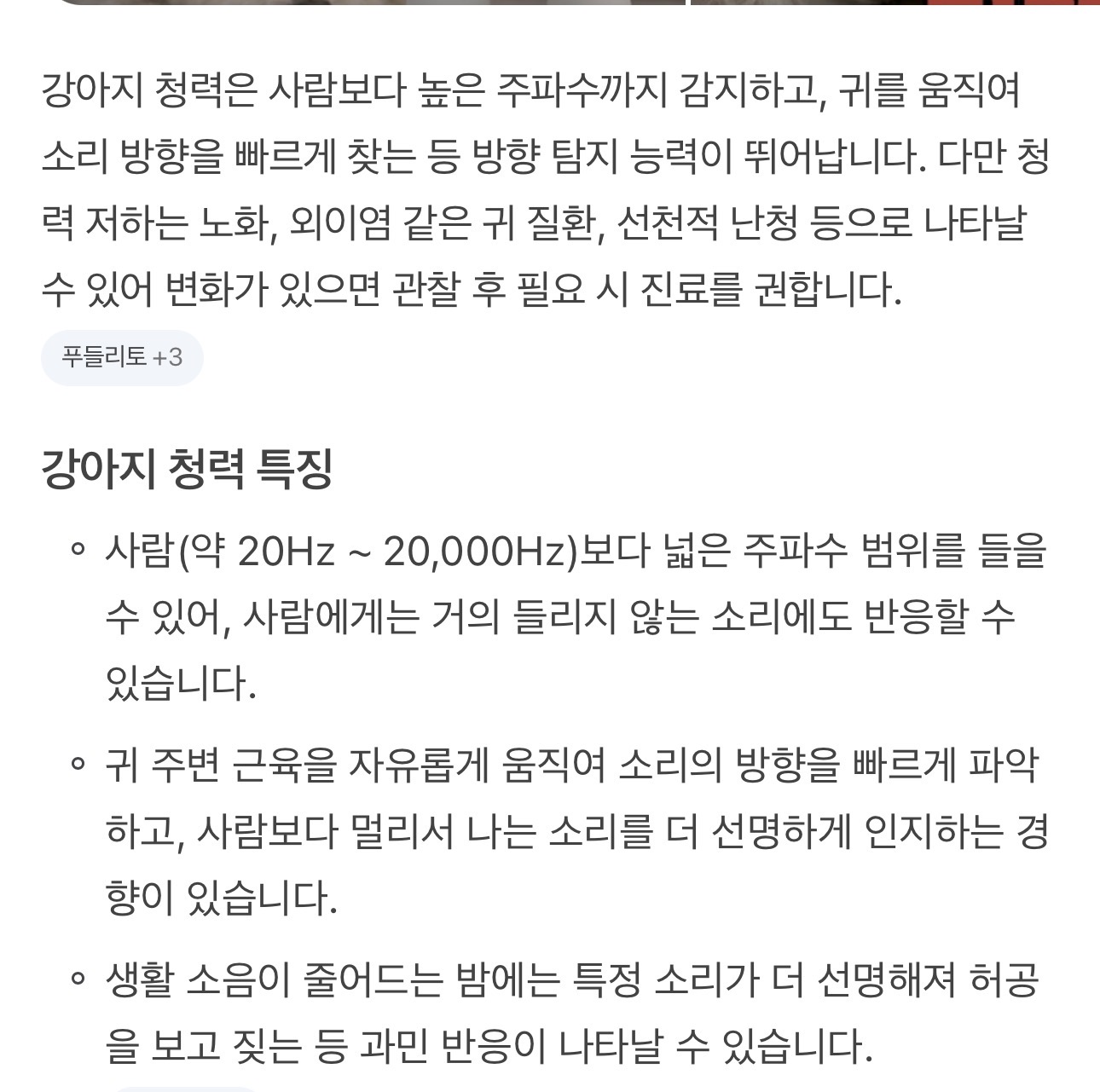 Dodroq