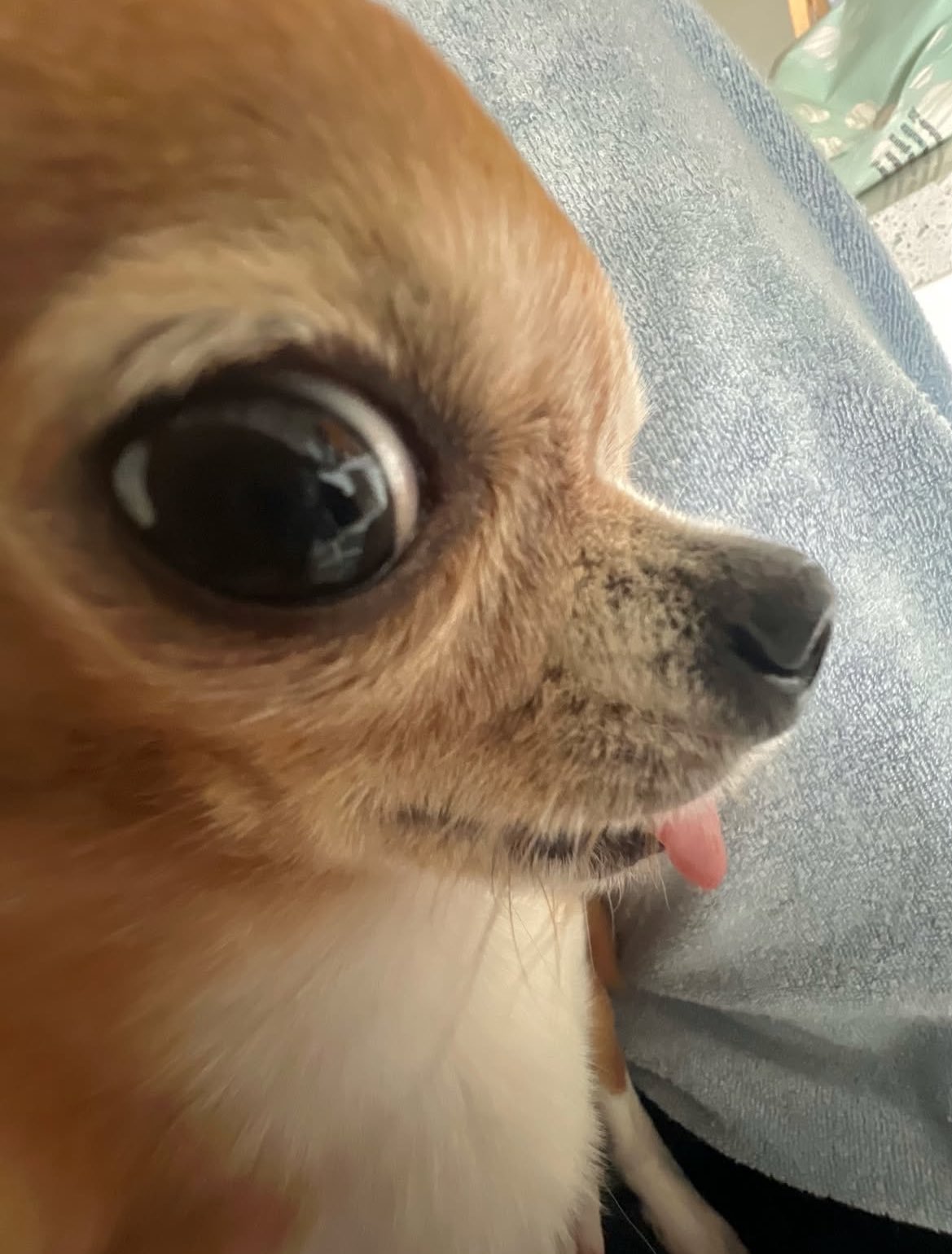 DpgTNb