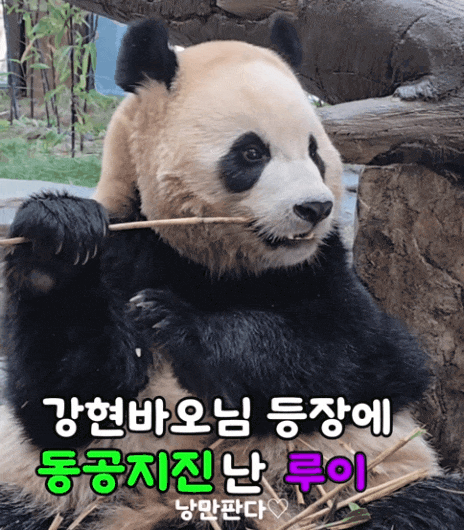 DrKcUb.gif