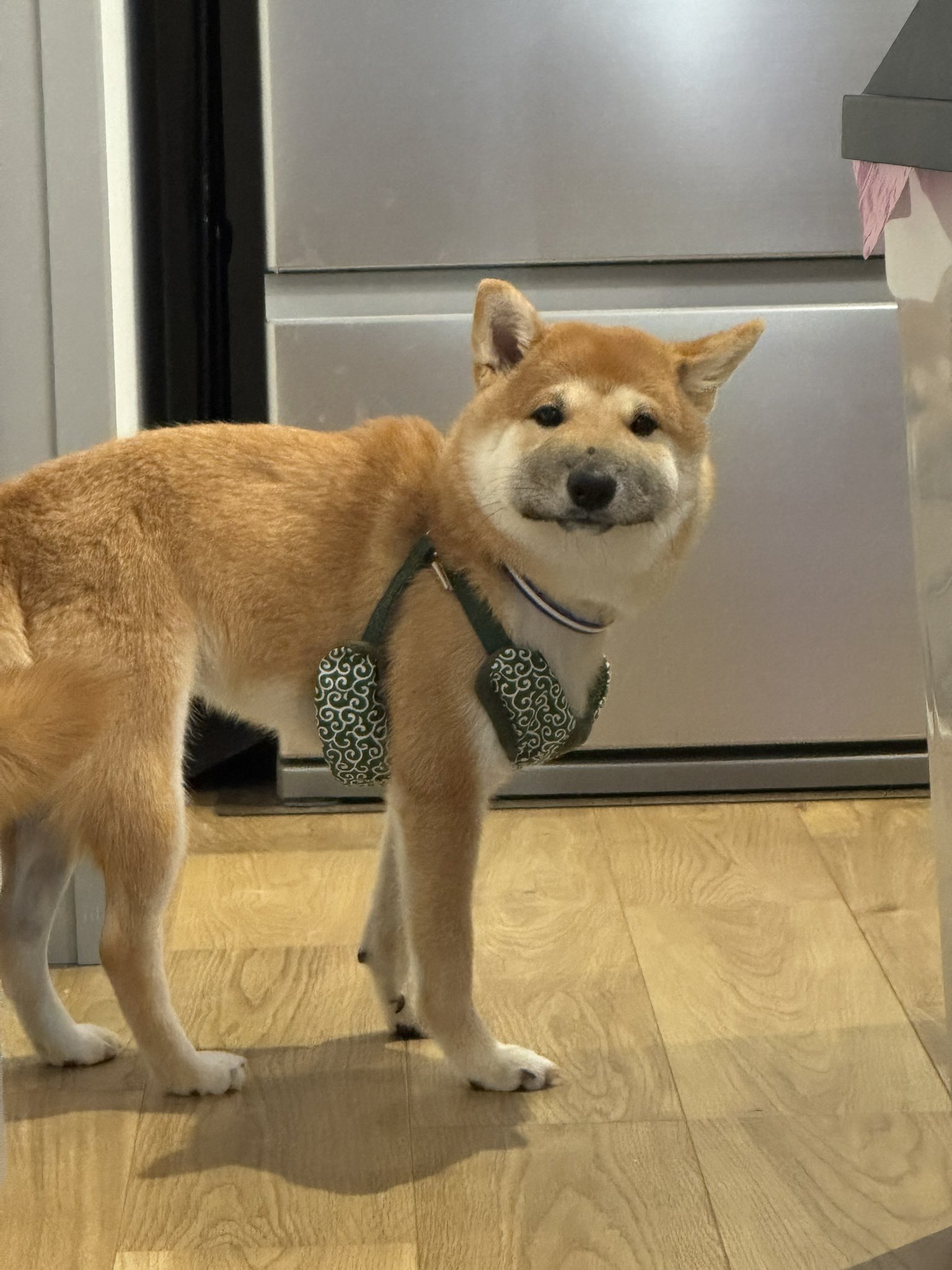 DsxErK