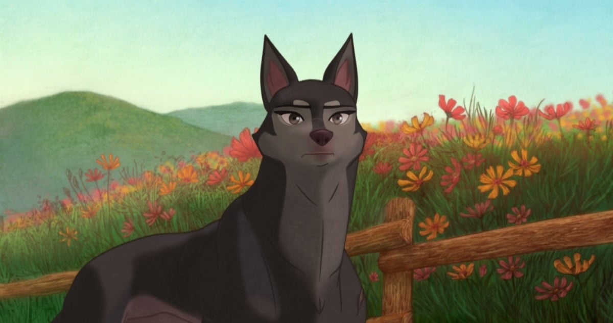 DteoyG