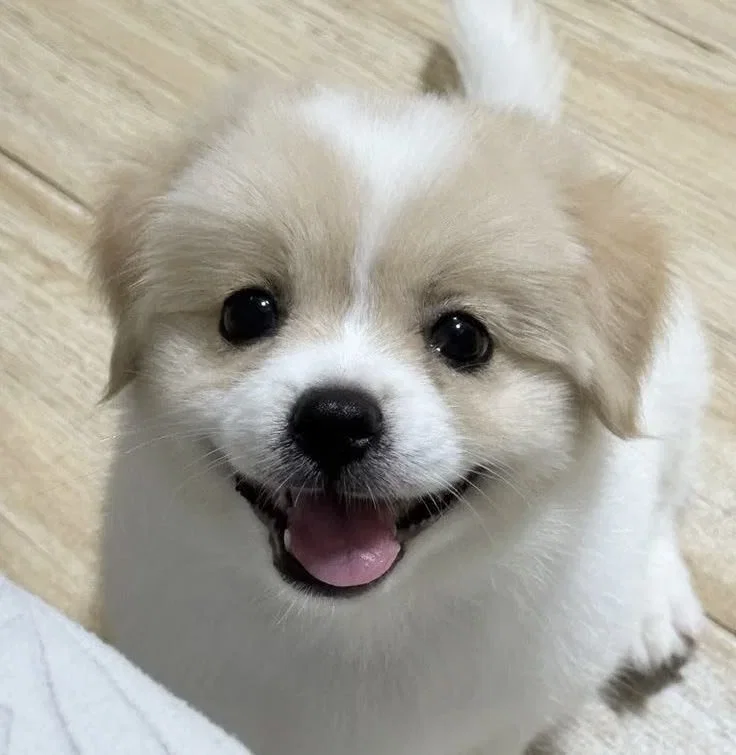 DuniKx
