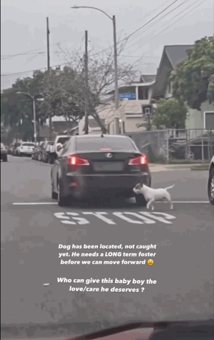 DvWwcr.gif