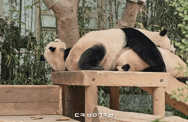 DwSuXl.gif