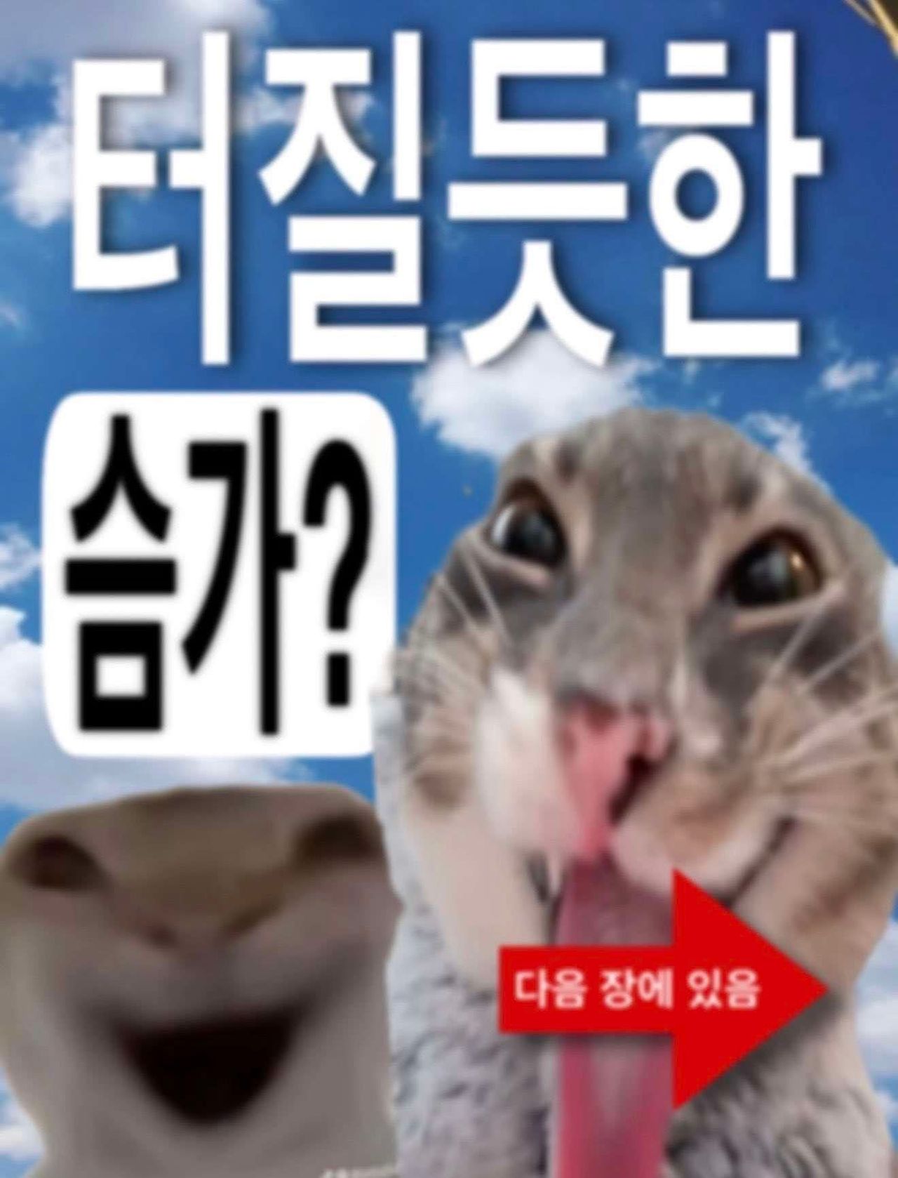 DxPBdp