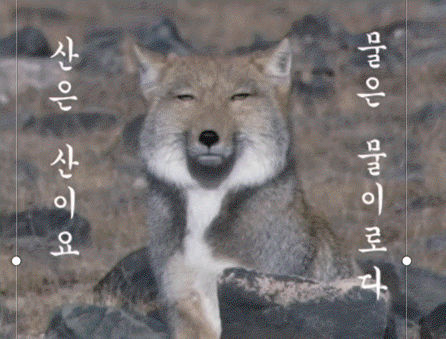 DxcOBO.gif