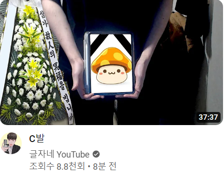 더쿠 - 축제가 열리는 중인가요?