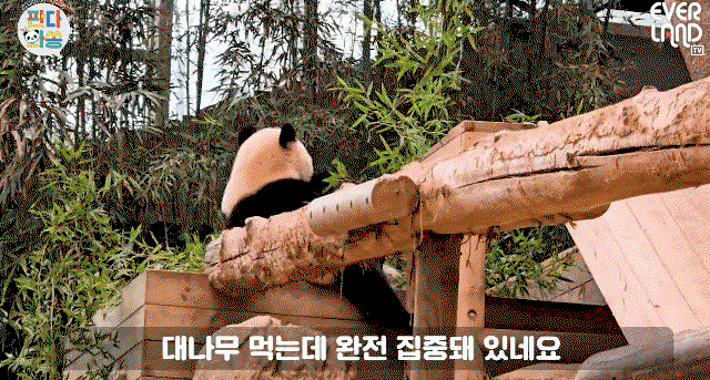 EAVnIl.gif