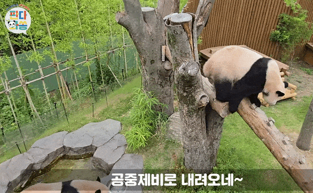 ECHHtD.gif