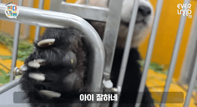 EFaYJu.gif