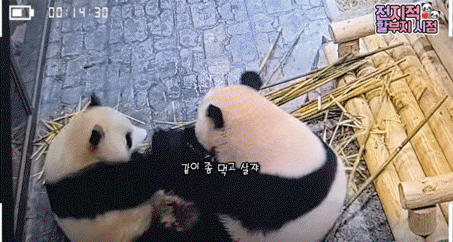 EIPTiW.gif