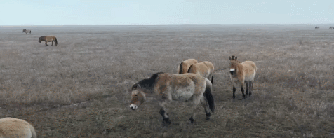 EKBfdu.gif