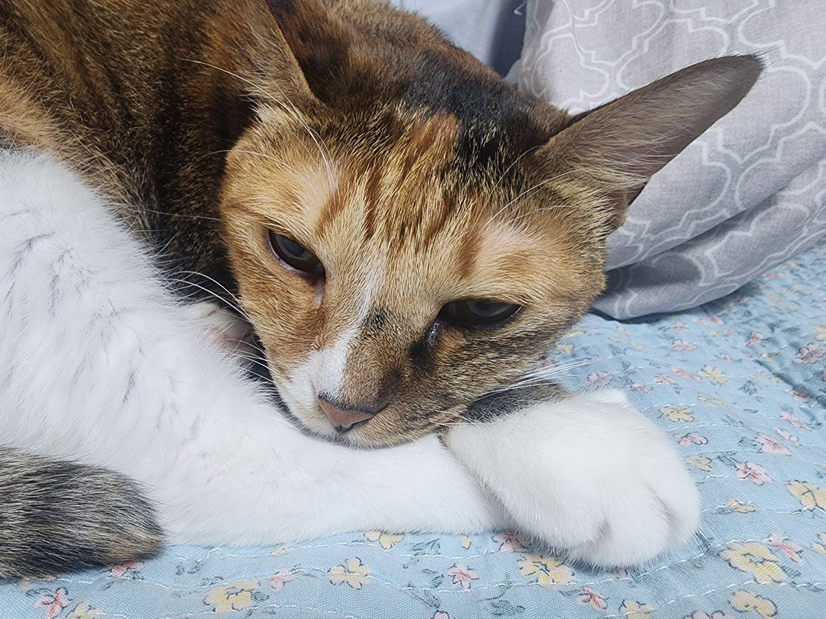 EKUPQQ