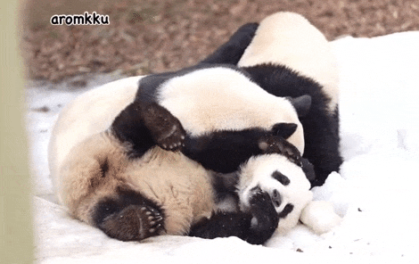 EKwOVK.gif