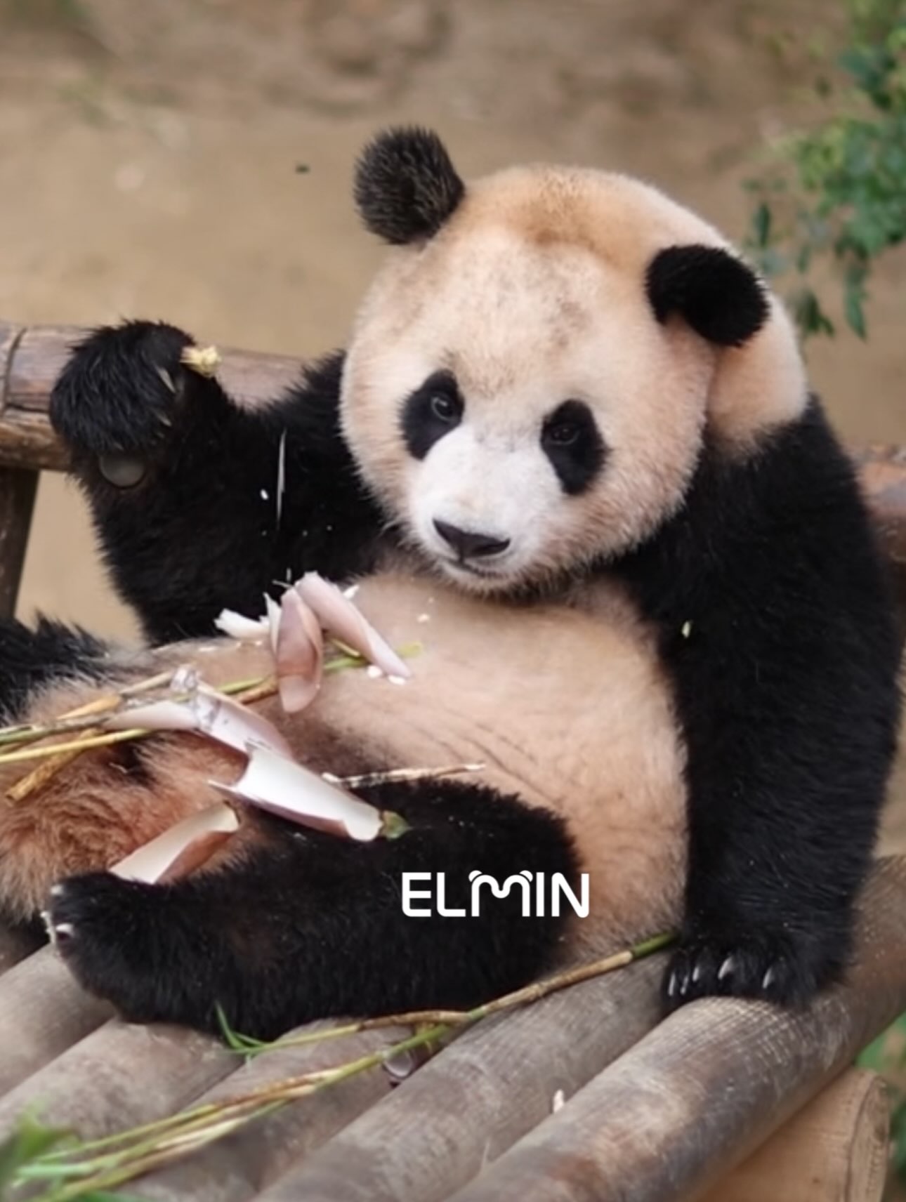 ELHHkW