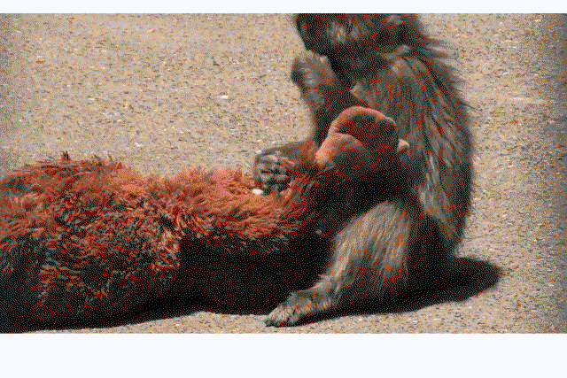 EMAszc.gif
