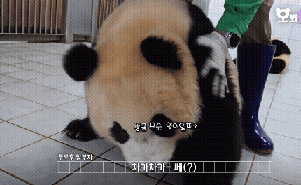 ENLjEC.gif