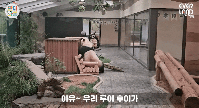 ENWIta.gif