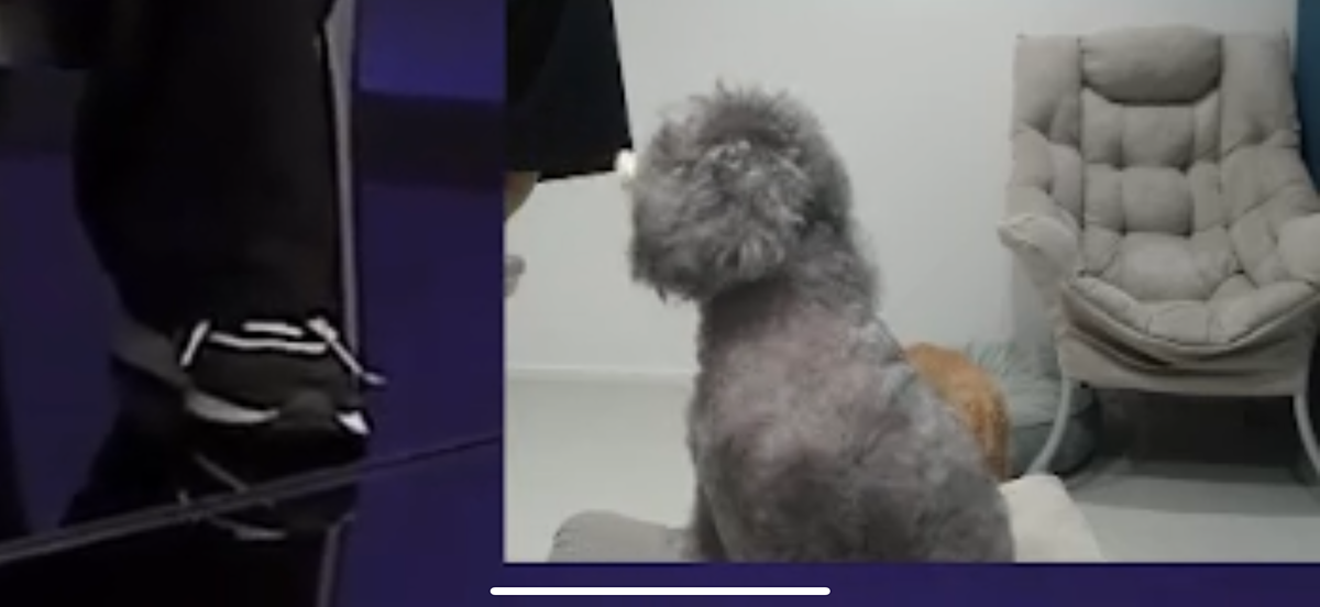 EORYIE