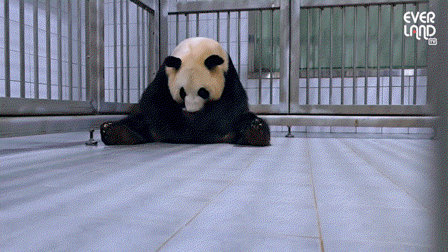 EOnwts.gif
