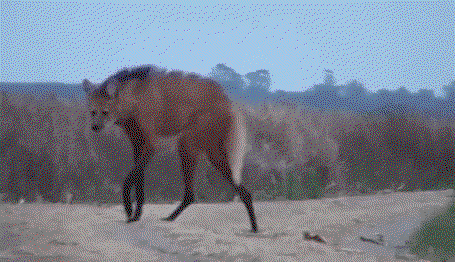 EQKJvL.gif