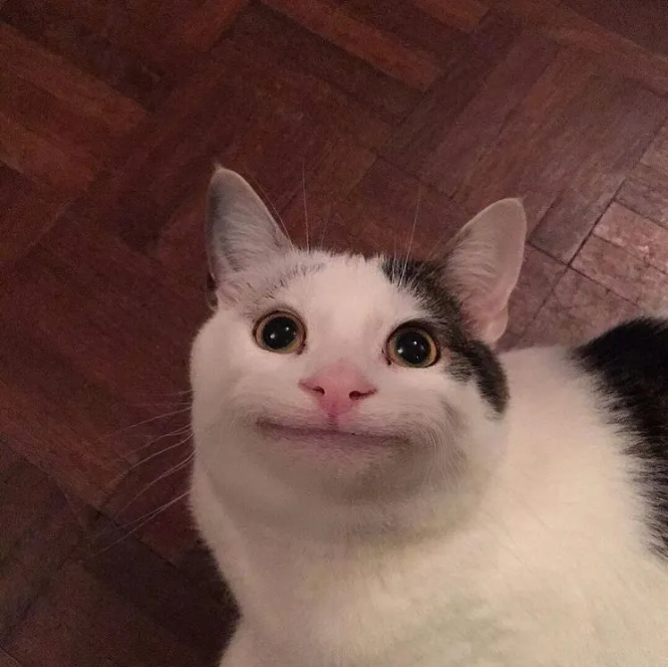ERyCOF