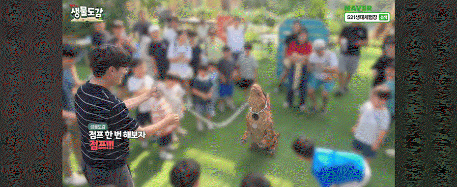 EYoJbi.gif