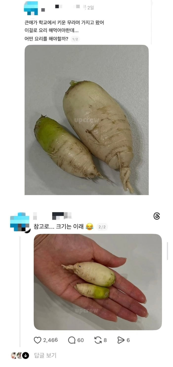 EbTDcb