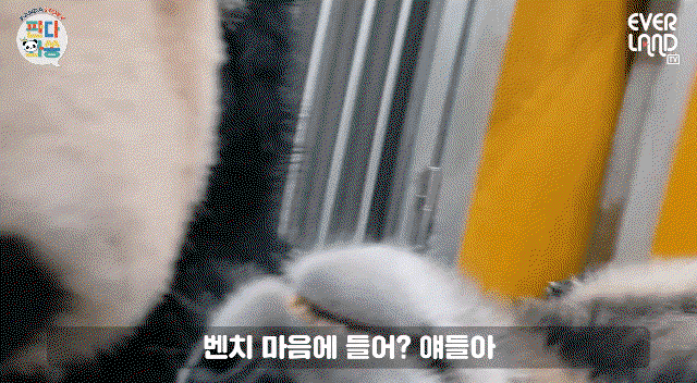 EbtFTA.gif