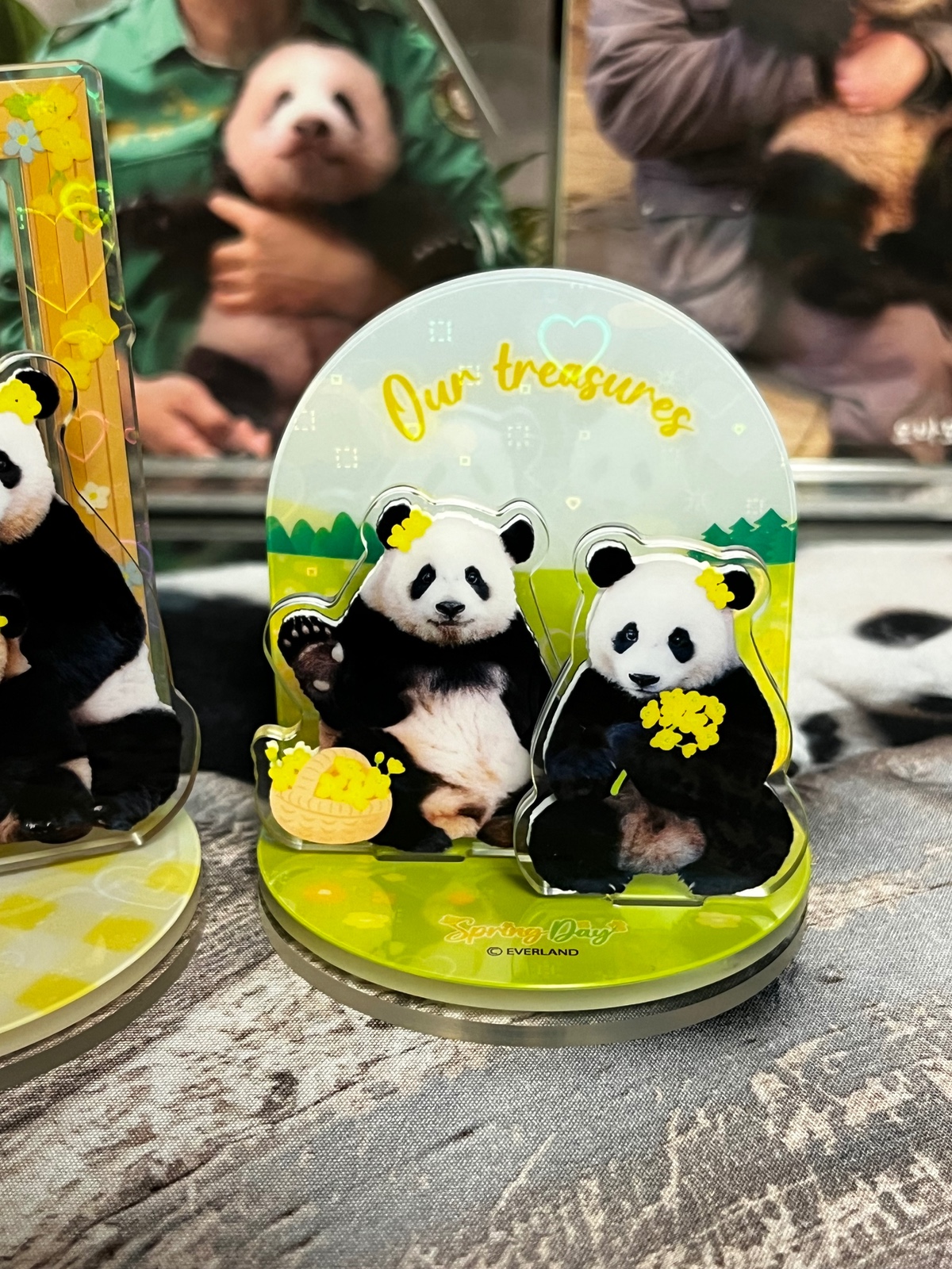 EdooUP