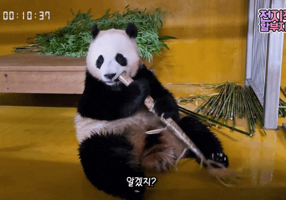 EgecYB.gif