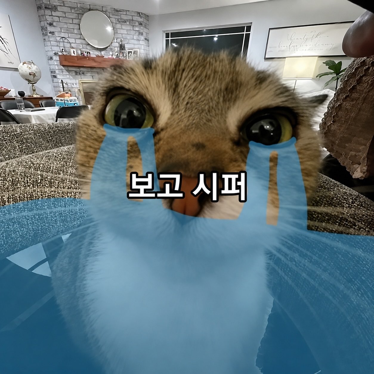 ElSnZm