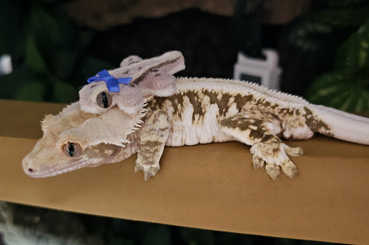 EmUycY