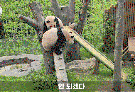 EnHkSm.gif