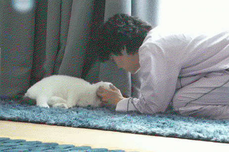 EnrCLj.gif