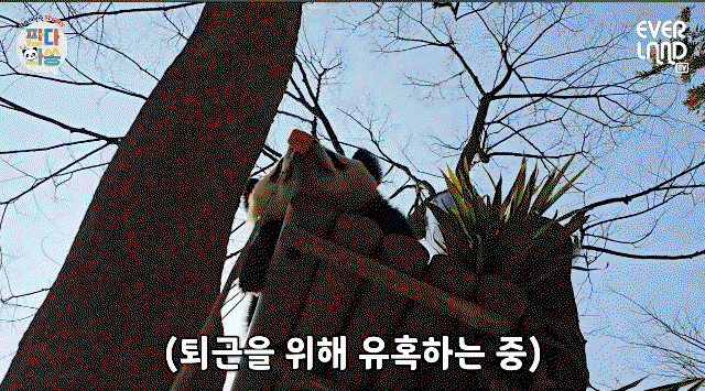 EpQYvw.gif