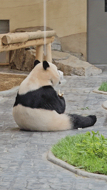EqgaNW.gif