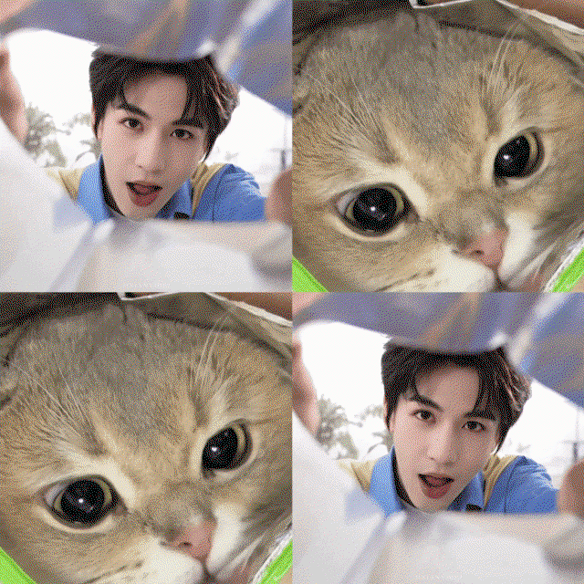EslxAt.gif