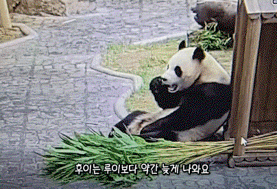 EtRTAc.gif