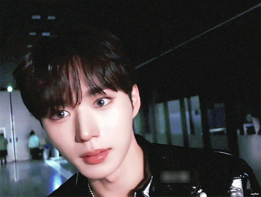 EuwUNH.gif