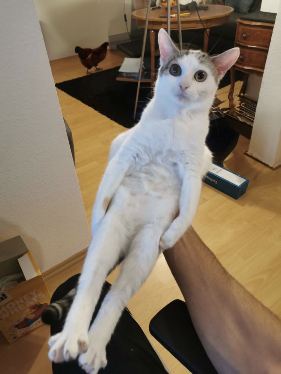 EvJkPW